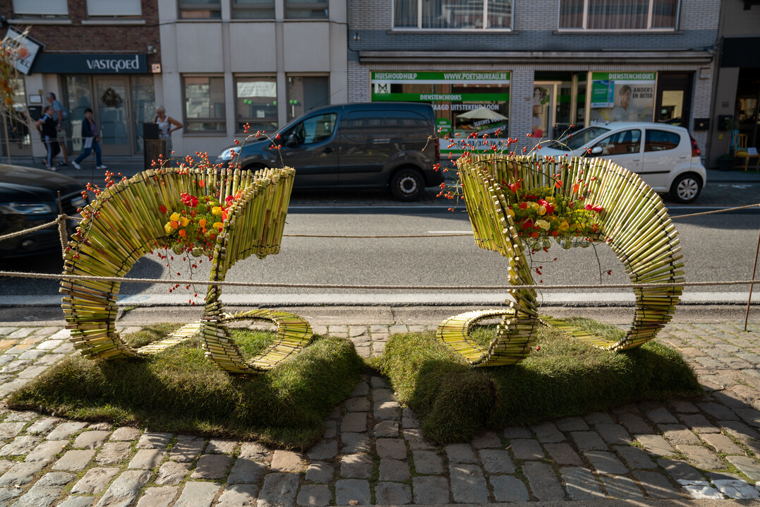 Tania Huyghe