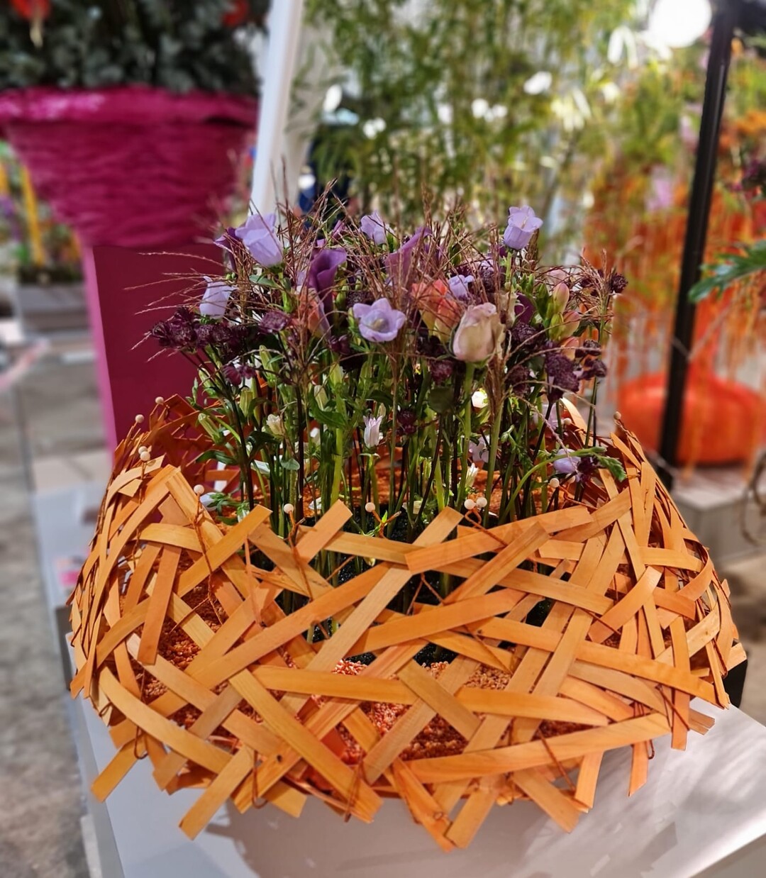1. Blumenschau berlingen "Blumen im Kopf"