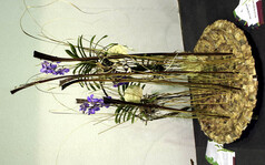 Platz 1: Denise Karsten