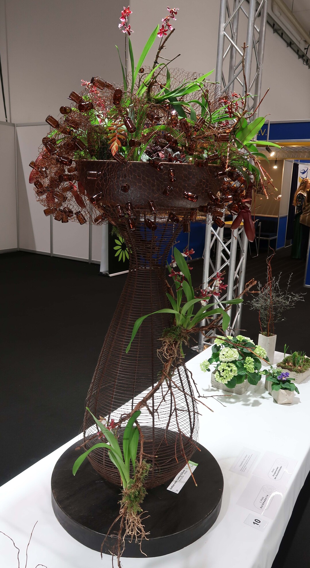 100 points were awarded for the container planting of Annabell Mller, Katharina Klo and Nicole Schiller from the Justus-von-Liebig-School in Hannover - this was the 1st place