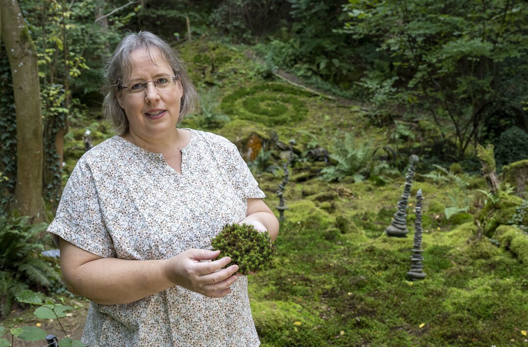 2. Folge: im Moos- und Schmetterlingsparadies von Ursula Altmoos