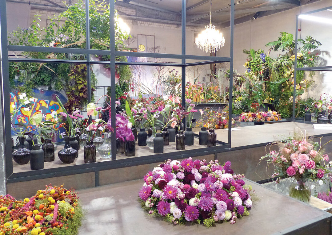 Das Motto der FDF-Hallenschau war von der Blumenbüro-Holland- Kampagne „Wir brauchen mehr Blumen“ abgeleitet.