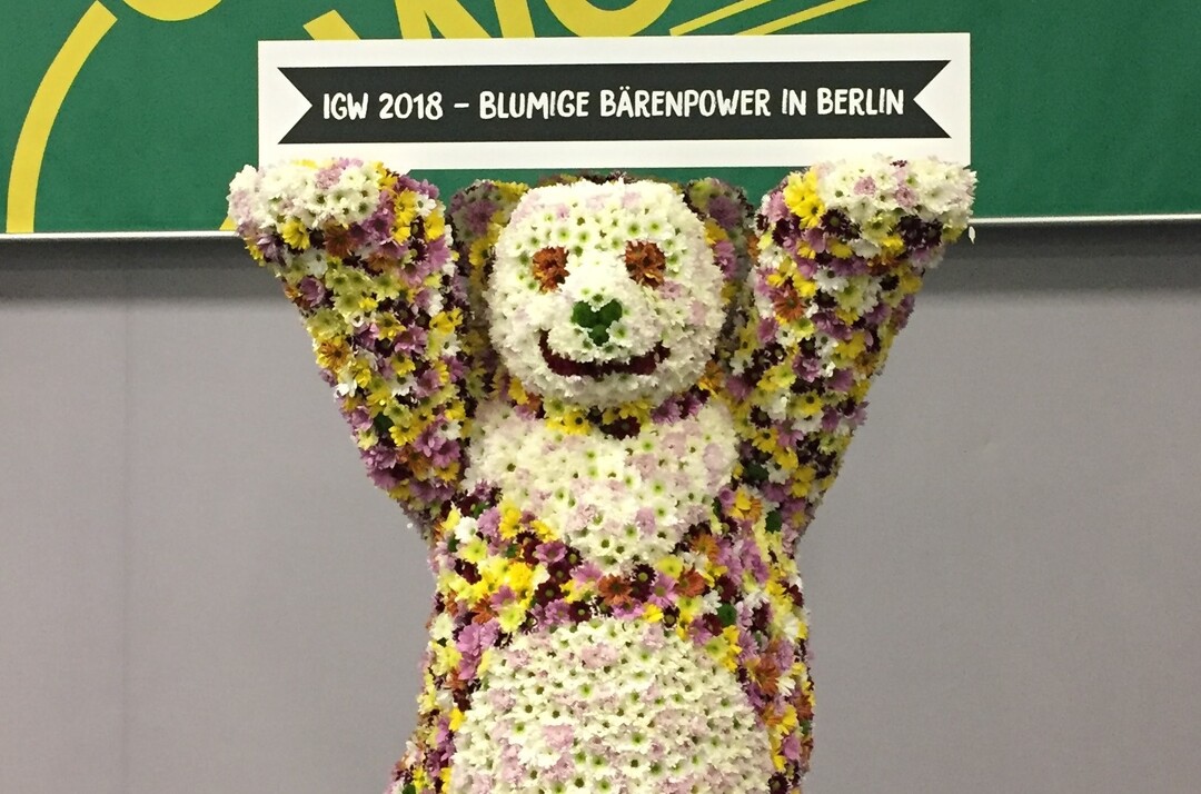Der Berliner Bär wird zum Vorboten und blumigen Wahrzeichen der neuen Blumenhalle auf der Internationalen Grünen Woche 2018 in Berlin.