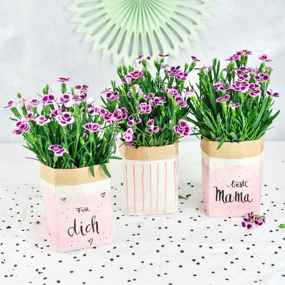 Milchtten als Blumentopf