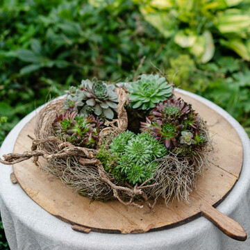 Sempervivum-Kranz