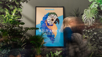 Unter dem Motto Wild about nature feiert die Blumenhalle der IGW 2023  angelehnt an die neue Jahreskampagne von 1000 gute Grnde  all die Wunder, die die Natur jeden Tag aufs Neue entstehen lsst.