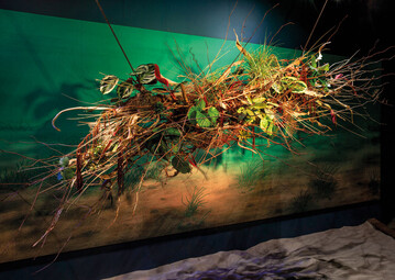 Aufgabe 1: Die Herausforderung bestand darin, im Ausstellungsbereich ein Werk aus Pflanzenmaterialien zu schaffen. Neben den Pflanzen dnischer Grtner sollten auch Materialien wie Treibholz, Fischernetze, Bindfden, Muscheln, Seesterne und Algen in die Arbeit einbezogen werden. Mindestens drei der genannten Materialien waren zu verwenden.