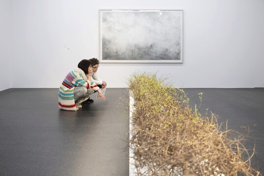 Florale Interpretation: Franziska Brgi Rey, Kreuzlingen | Werk: Marianne Kuhn, Ohne Titel, 1994 | Aargauer Kunsthaus
