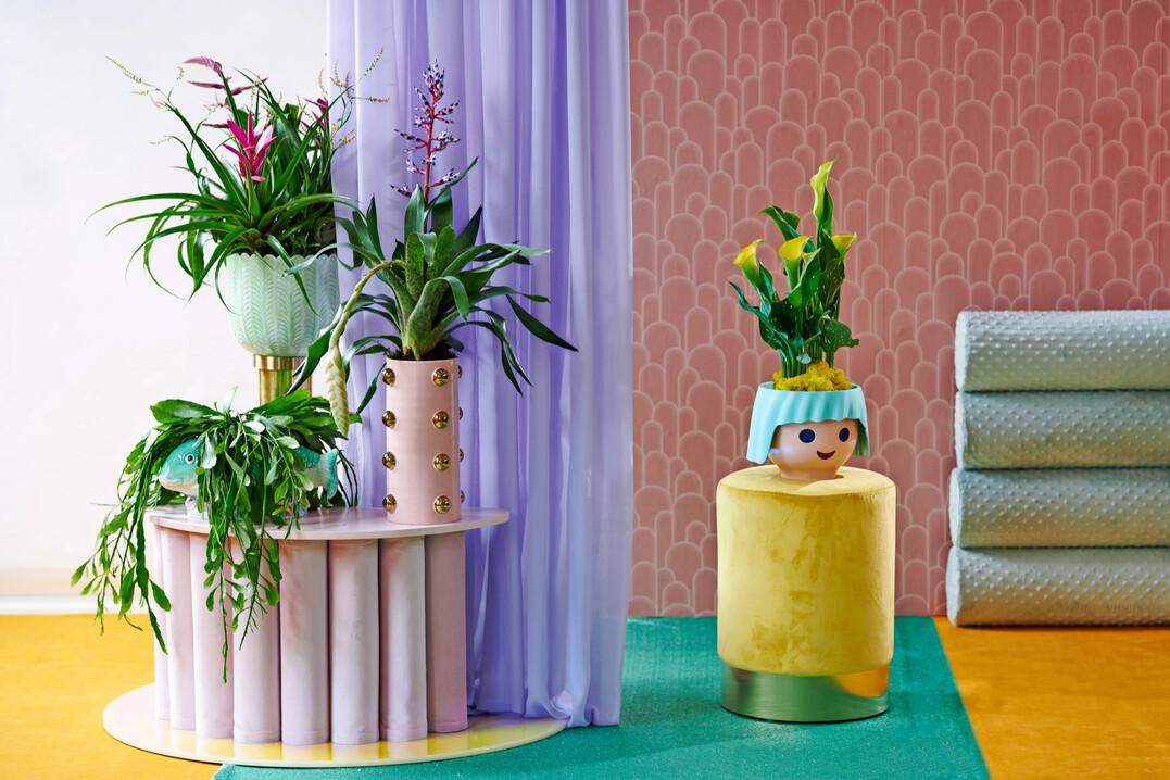 Bromelien und Calla bringen Dschungelfeeling ins farbenfrohe Kinderzimmer. 
