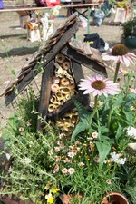 Beste Pflanzung von Mandica Kajic.