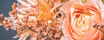 Unsere Serie Blume & Handwerk wird seit vielen Jahren von FleuraMetz gesponsert (www. fleurametz.com). Unsere Abonnent( inn)en knnen alle bisherigen Folgen in unserem Online- Archiv nachlesen: www.florierenonline. de