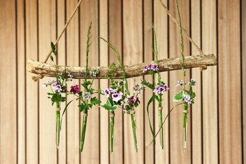Geranien eignen sich nicht nur fr die Bepflanzung von Balkonksten, sondern auch als Schnittblumen in Struen und anderen kreativen Arrangements.