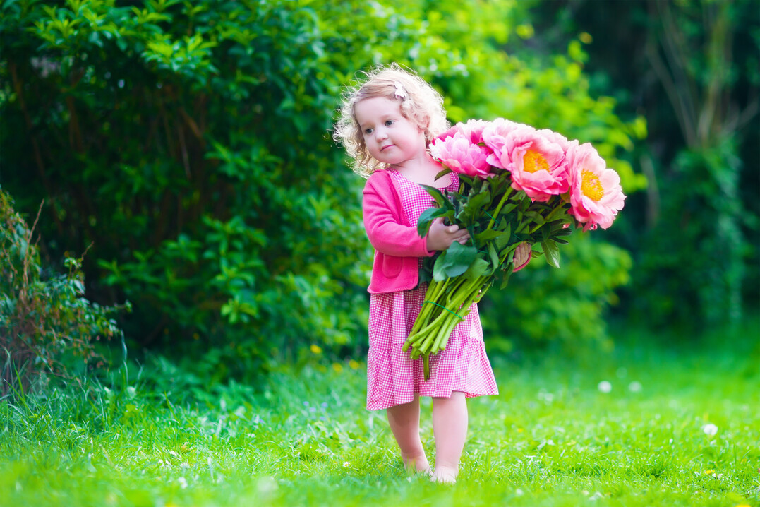Blumen stehen auch auf den Wunschlisten der Mtter in sterreich ganz oben (46 %)