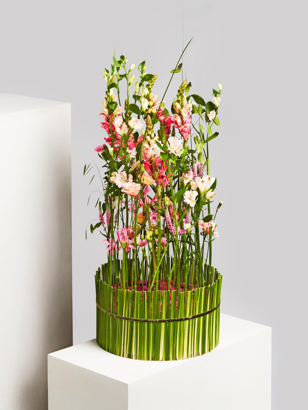 Das Arrangement Blooming Colours besticht durch seine Farbkomposition, Form und Raffinesse. Blten wie Eustoma, Alstroemeria, Veronica, Nerine, Nelken, Hypericum, Lwenmulchen und Chasmanthium-Gras entfalten ihre volle Wirkung in zarten Pink-, Rosa- und Apricot-Tnen - kunstvoll und locker arrangiert in einer eleganten Glasschale. (Preis: 198,95 Euro)