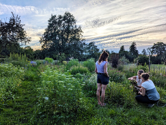 Eine Teilnehmerin kam ber eine schwierige persnliche Zeit zur Floristik, wurde durch Zufall auf Mitglieder der englischen Slowflower-Bewegung ber das Internet aufmerksam und fing Feuer. Nun steht die blumige Dekoration der Hochzeit einer Freundin an, die sie erstmals in Eigenregie umsetzen mchte. Die Blumen dafr sollen vom Blumengarten von Caroline Wolf kommen. Diese riet ihr, vor dieser Aufgabe noch einen Kurs zu besuchen. Meist arbeitet sie still fr sich allein, sucht sich am Ende, als bereits die Sonne tief steht und den Blumengarten in ein magisches Licht taucht, Rat von Caroline Wolf und einer ihrer Mitarbeiterinnen. 