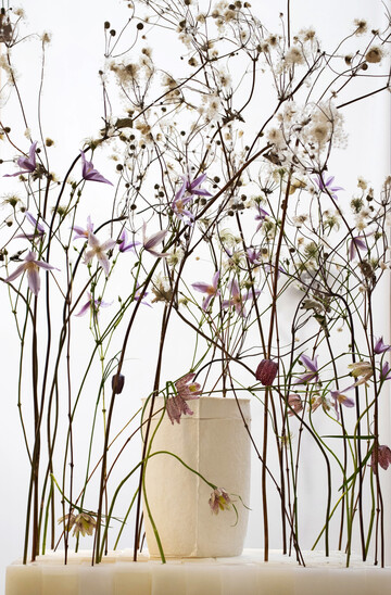 Die Farben der Clematis-Blten an der Grenze zwischen Leuchten und Verblassen gepaart mit den weichen Fruchtstnden der Herbst-Hnemone geben der handgeschpften Papierurne aus Hanffasern von Kristina Rothe ein geborgenes Umfeld.
