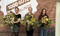 (v.l.n.r.) Stella Wagner von der Floralen Manufaktur Schrter, Kristin Scheufler von Blumen & Florales Sylvia Krien und Liesbeth Leibelt von der Grtnerei Bimberg
