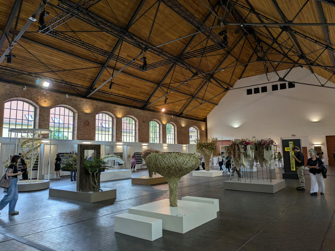 Die grozgige Phoenixhalle des Rmerkastells bot einen angemessenen Rahmen fr die floristischen Meisterwerke. 