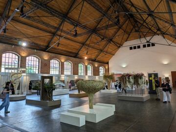 Die grozgige Phoenixhalle des Rmerkastells bot einen angemessenen Rahmen fr die floristischen Meisterwerke. 