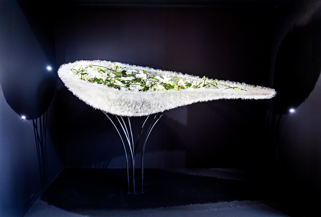 Ein Moment, in dem Dunkelheit alles in Beziehung setzt: 
<b>Melanie Seeger</b>
 lie eine Schale aus Plexiglas fertigen, die sich verjngt. Diese beklebte sie mit 
<i>Gomphocarpus</i>
-Samen.