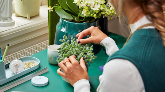 Den positiven Einfluss von Blumen und Pflanzen auf Menschen, indem sie zu Wohlbefinden, Zusammengehrigkeit und mentaler Gesundheit beitragen, soll eine Studie nun belegen.