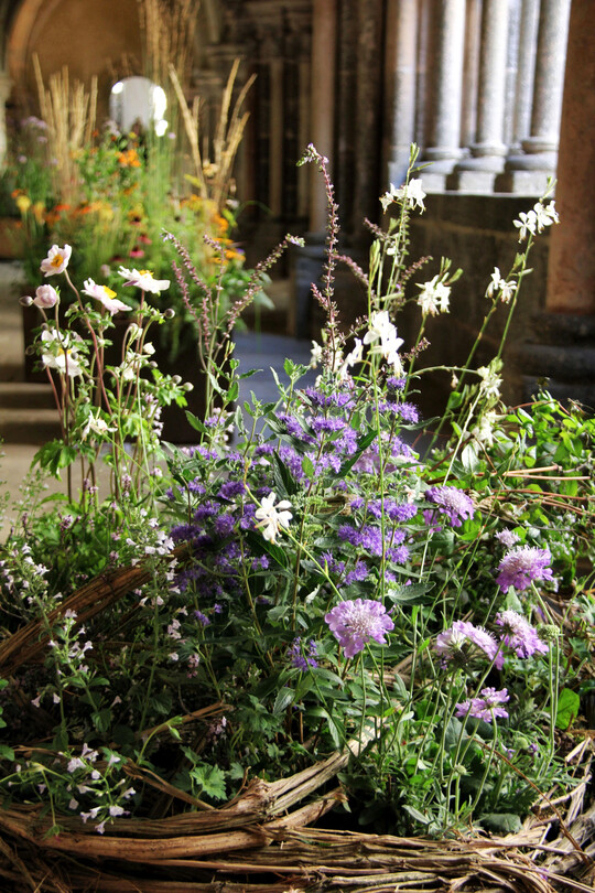 Bepflanzung im Waldrebengef von 
<b>Tatjana Galuffo</b>