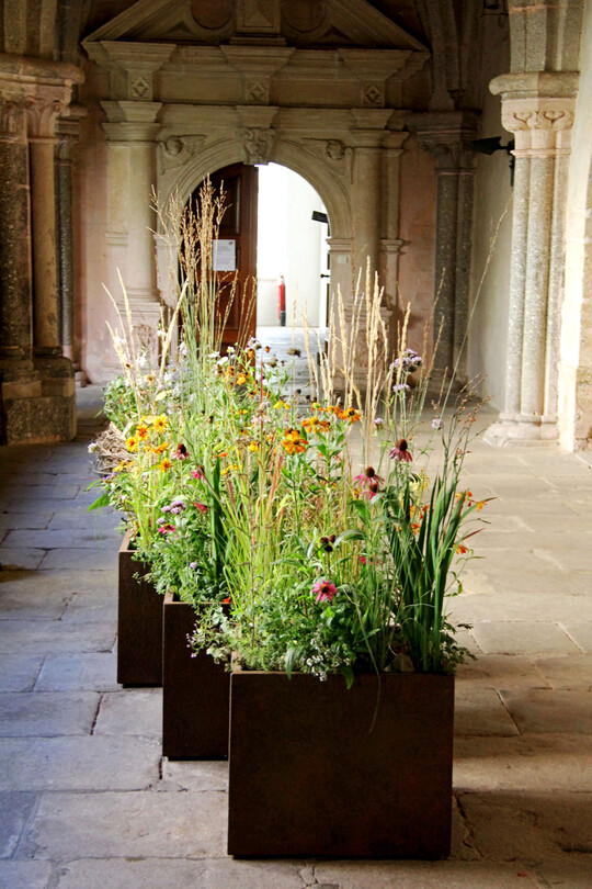 Mittelalterlicher Kreuzgang mit Bepflanzung von 
<b>Nadine Moser</b>
