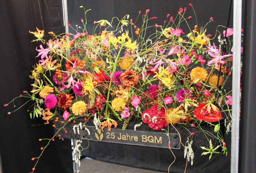  Der Raumschmuck von Laura Harraer 