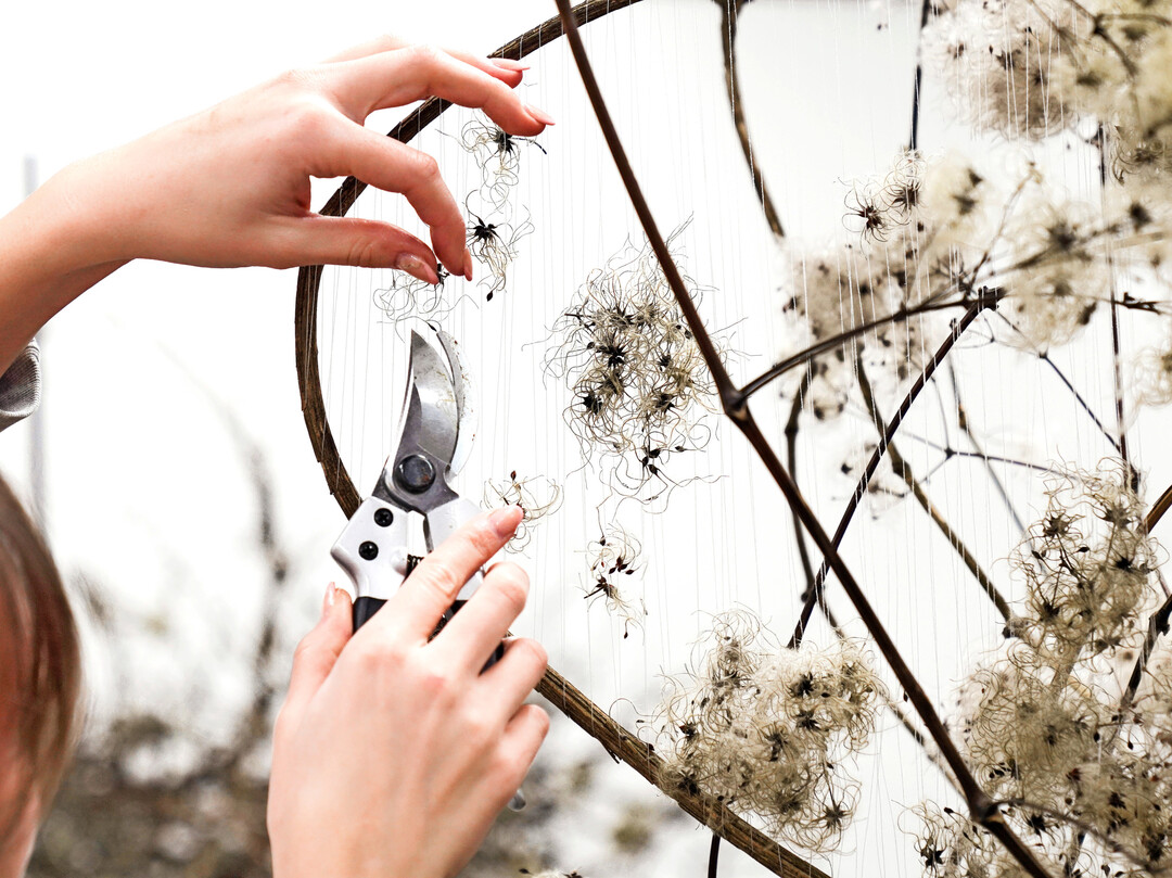 Um einzelne Bgen spannt Luzia dnne Baumwollfden, wie Saiten auf einer Harfe. Darin verhngen sich einzelne Samen, hineingeweht vom Winterwind.