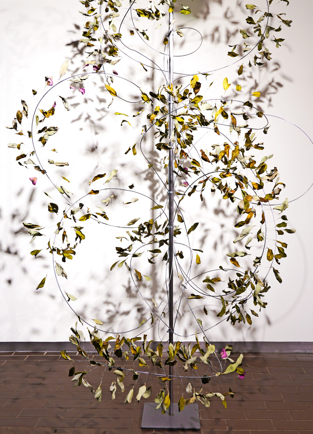 <b>Jessica Cosmea Wilhelmi</b>
 lie sich von den spiralfrmigen Strukturen in einem schmelzenden Eiswrfel inspirieren. 