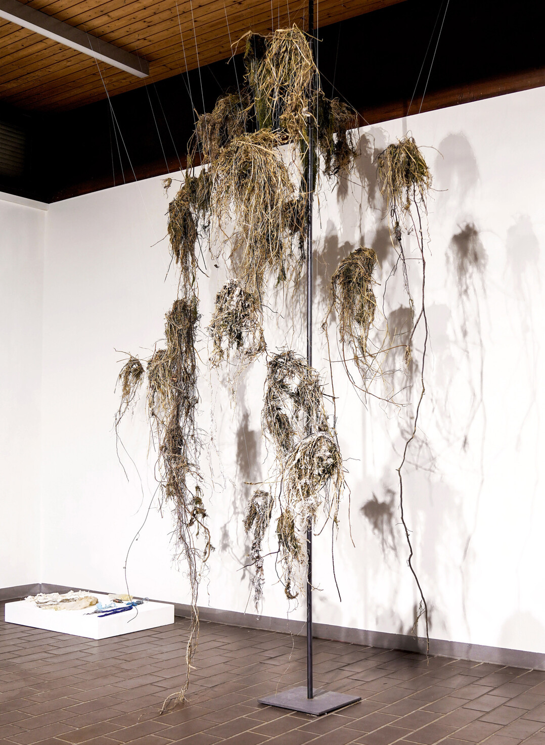 Schwemmgut aus der Isar, Grser, Wurzeln, Bltter, hngengeblieben und zum Teil festgefroren an morschen bemoosten sten, fasziniert 
<b>Jana Barbara Wilske</b>
. Eine Originalpflanze ist nicht mehr zu erkennen, doch zeigen die Bndel eine eigene Eleganz, wie sie in der Strmung des Flusses am Ufer hngen. Die angedeutete Eisschicht besteht tatschlich aus Zucker. Doch nicht nur Pflanzliches, auch die berbleibsel von Natur-Spaziergngen oder Picknicks hngen dazwischen. Weggewehtes, Weggeworfenes, Nicht-Mehr-Definierbares. Jana prsentiert beides. Die pflanzlichen Teile als Hngung: Getrennt und doch vereint zu einem Ganzen durch die mittige Verbindungsstange.