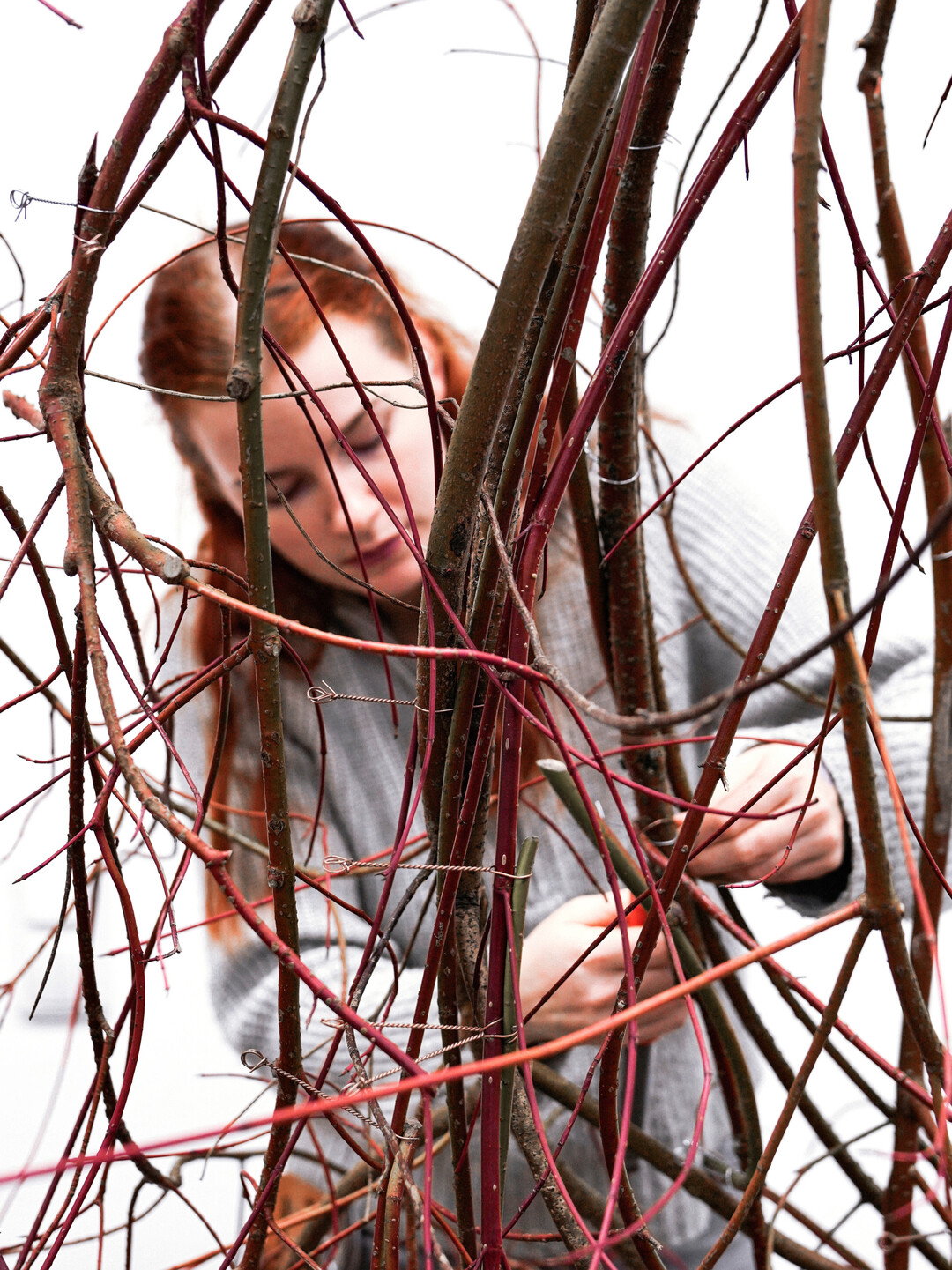 Kupferfarbene Drilldrhte bndigen den Hartriegel und geben Halt. 