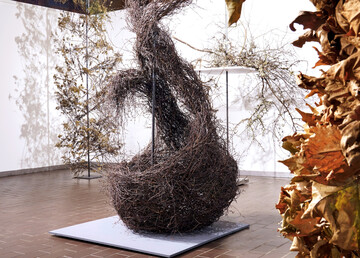 <b>Theresa Arndt</b>
verwindet Zweige der Hänge-Birke (
<i>Betula pendula</i>
) zu einer nestartigen Behausung, die sich nach oben hin elegant in mehrere gewundene Stränge auflöst. So weich der einzelne Zweig der Birke sein mag, so stabil ist das gewundene Werkstück.