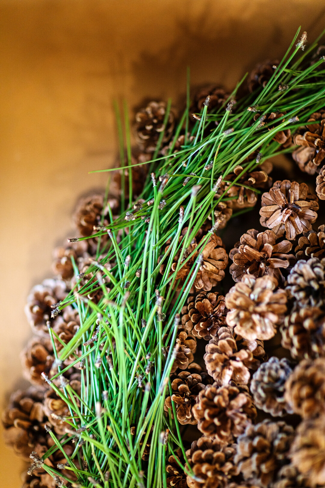 Nicht jeder Zapfen kann an jede Stelle, die Gre muss stimmen. Durch das Verklemmen der Kiefernadeln zwischen den Zapfen konnte die grne Sichel technischen Halt finden. Dieses Werkstck ist ebenfalls wiederverwendbar oder kompostierbar. 