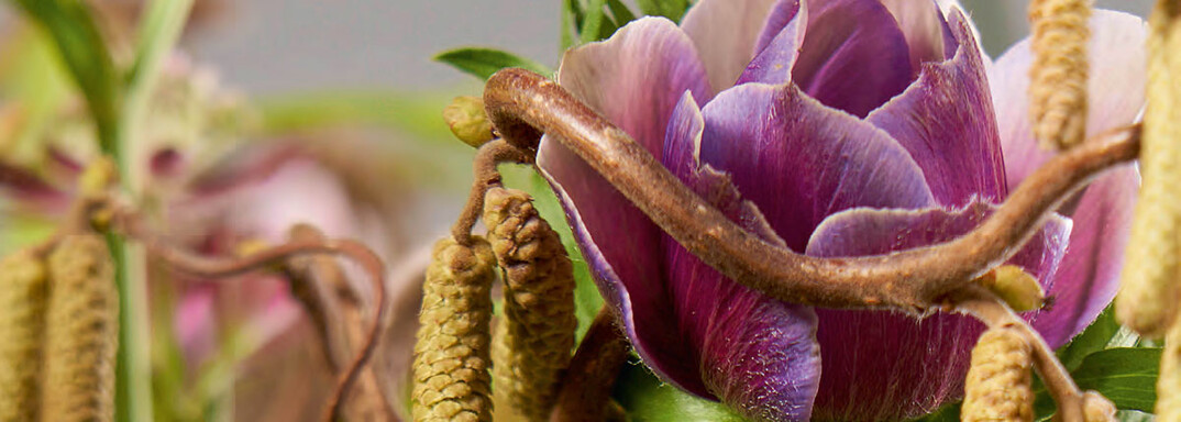 Der Zweig wurde in einem aufgebohrten Sandsteinblock befestigt. Clematis, Anemonen und Viburnum werden durch Glasrhrchen mit Wasser versorgt.