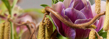Der Zweig wurde in einem aufgebohrten Sandsteinblock befestigt. Clematis, Anemonen und Viburnum werden durch Glasrhrchen mit Wasser versorgt.