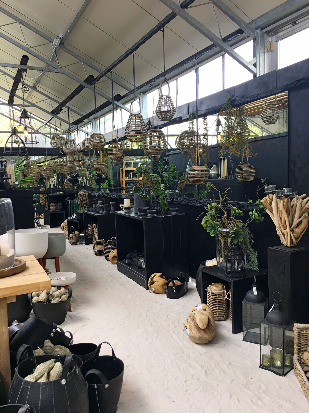 Eine belgische Grtnerei zeigt hier ein cooles modernes Design im Gewchshaus. Durch die reduzierte Farb- undProduktauswahl und die langen Strecken wird eine Reizberflutung vermieden.