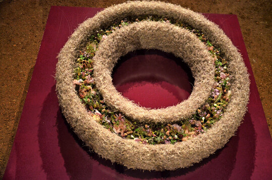 Pulsatilla-Samen umschlieen das kleinteilige Bltenband im Kranz von 
<b>Sarah von Aarburg</b>
. Er verkrpert den bergang vom vergnglichen, irdischen Leben hin zum ewigen geistigen Leben.