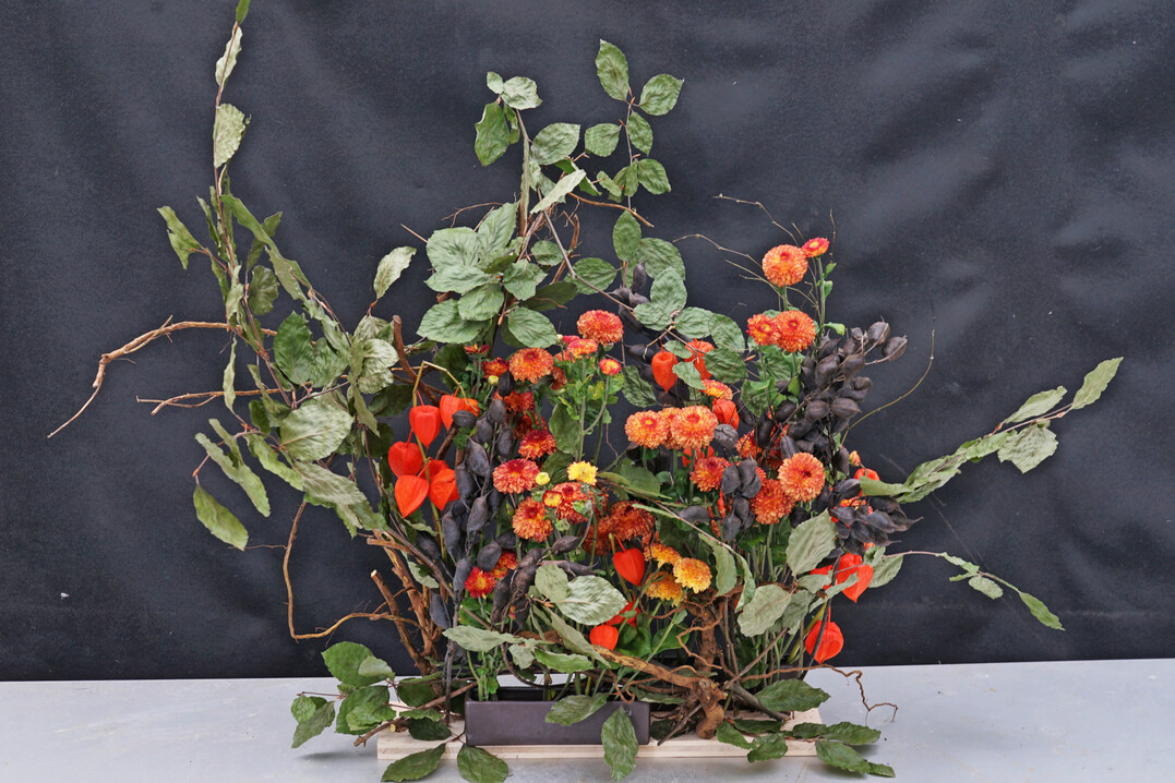 Die Buchenzweige wurden gepresst und schlicht getrocknet; erfolgt dies rechtzeitig, bleiben ihre Bltter stabil und haften ber den Winter hinaus. Zusammen mit Wurzelstcken und dekorativen schwarzen Fruchtstnden von 
<i>Baptisia </i>
sind sie auf einem kleinen Holzbrett arrangiert. In zwei schmalen Schalen ergnzen 
<i>Physalis </i>
und kleine Chrysanthemen die Komposition.