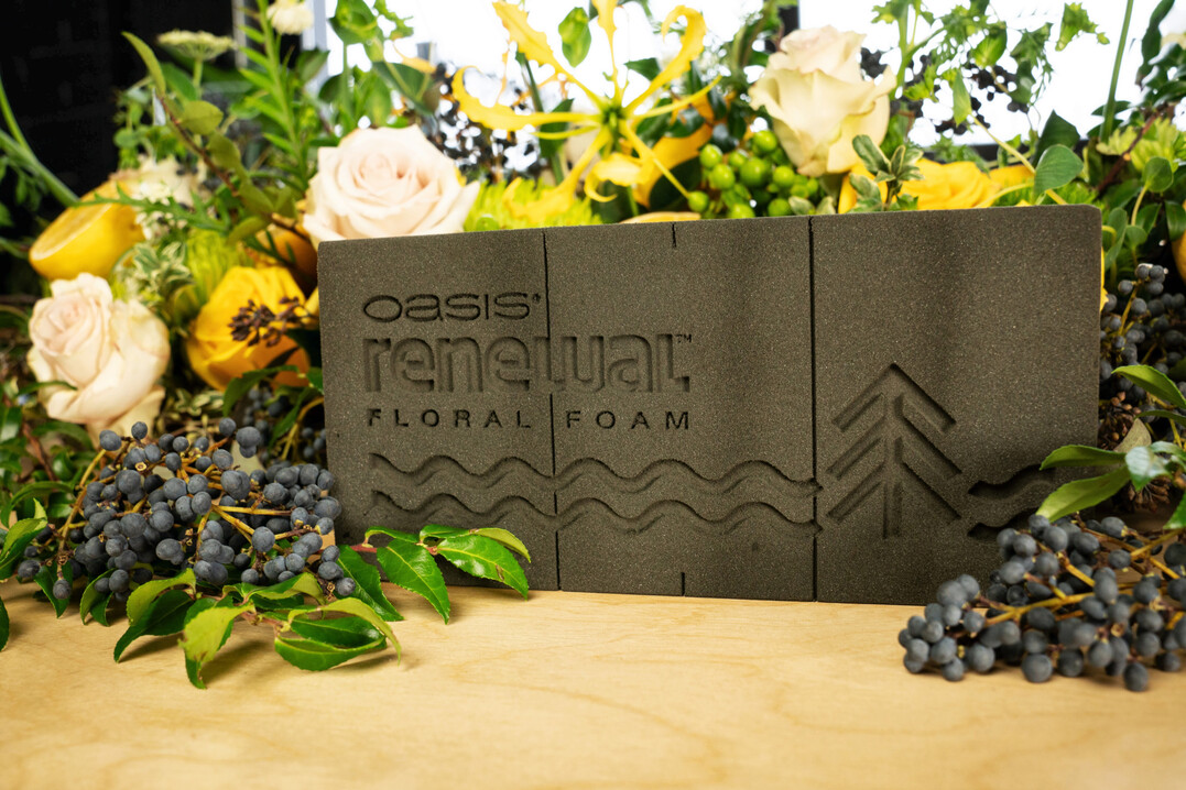 Nach vielen Jahren intensiver Forschungsarbeit bringt Smithers-Oasis einen pflanzenbasierten Steckschaum auf den Markt.