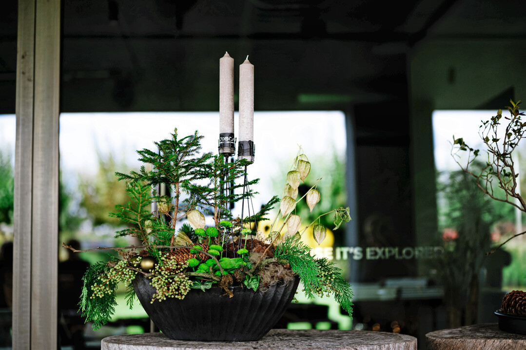 Ein Werkstck des grnen Naturthemas mit dem Namen Selva Viva (Lebendiger Wald).