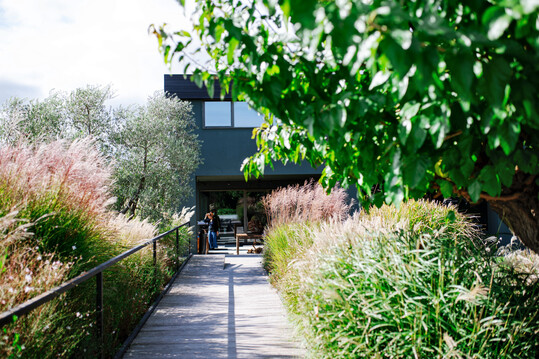 Das Weingut Famiglia Olivini bei Desenzano del Garda in Italien