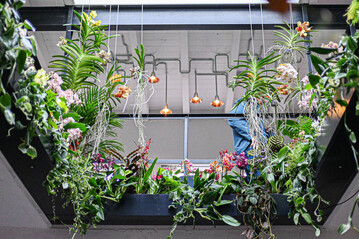 Die Schnheit der exotischen Zimmerpflanzen passte sehr gut zu den architektonischen Formen der modernen Lichtkrper unter dem Thema In Full Bloom.