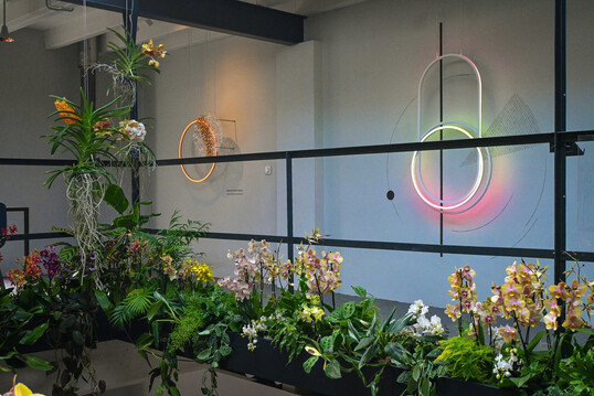 Schon zum zweiten Mal beteiligten sich niederländische Orchideenproduzenten an der Dutch Design Week in Eindhoven. Diesmal in Kooperation mit Aptum, einem Spezialisten für Lichtdesign.
