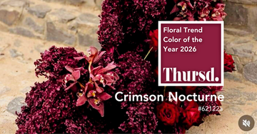 Blumen im Farbton „Crimson Nocturne“ schaffen Atmosphäre. Sie lassen den Betrachter fühlen, ohne dass es einer Erklärung bedarf. Sie verwandeln einen Raum in etwas Unvergessliches, wie Musik, die auch nach dem Verhallten der letzten Note noch nachklingt.