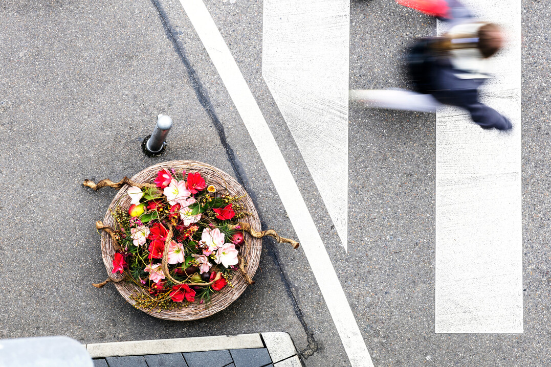 Ronja Konanz & Karolina M�ntzek kreierten ein Werkst�ck, das die Heimat der Amaryllis verk�rpert. Die Amaryllis ist urspr�nglich in S�damerika beheimatet. Um das Thema �Zuhause� aus dem zugrundeliegenden Aphorismus aufzugreifen, w�hlten sie auch die anderen Werkstoffe nach dieser exotischen Herkunft aus.  