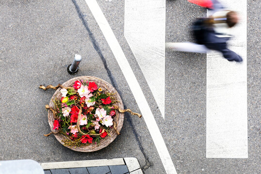 Ronja Konanz & Karolina M�ntzek kreierten ein Werkst�ck, das die Heimat der Amaryllis verk�rpert. Die Amaryllis ist urspr�nglich in S�damerika beheimatet. Um das Thema �Zuhause� aus dem zugrundeliegenden Aphorismus aufzugreifen, w�hlten sie auch die anderen Werkstoffe nach dieser exotischen Herkunft aus.  