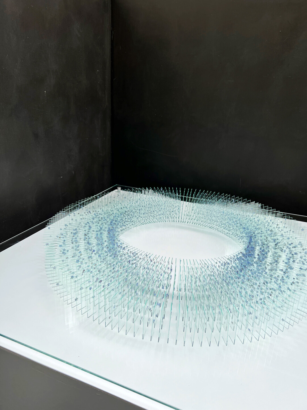 F�r ihre Kranzform brachte Katharina Arnold rund 5.000 einzelne Vergissmeinnichtbl�ten auf 1.000 gl�serne Objekttr�ger auf.