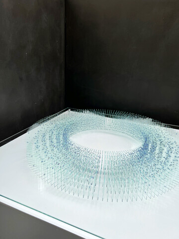 F�r ihre Kranzform brachte Katharina Arnold rund 5.000 einzelne Vergissmeinnichtbl�ten auf 1.000 gl�serne Objekttr�ger auf.