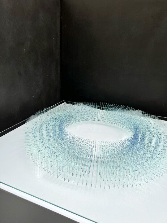 Für ihre Kranzform brachte Katharina Arnold rund 5.000 einzelne Vergissmeinnichtblüten auf 1.000 gläserne Objektträger auf.